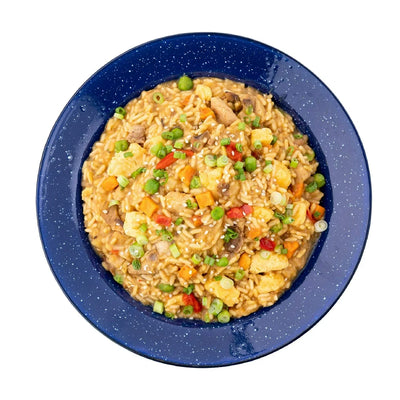 Mountain House Chicken Fried Rice - 2 Servings